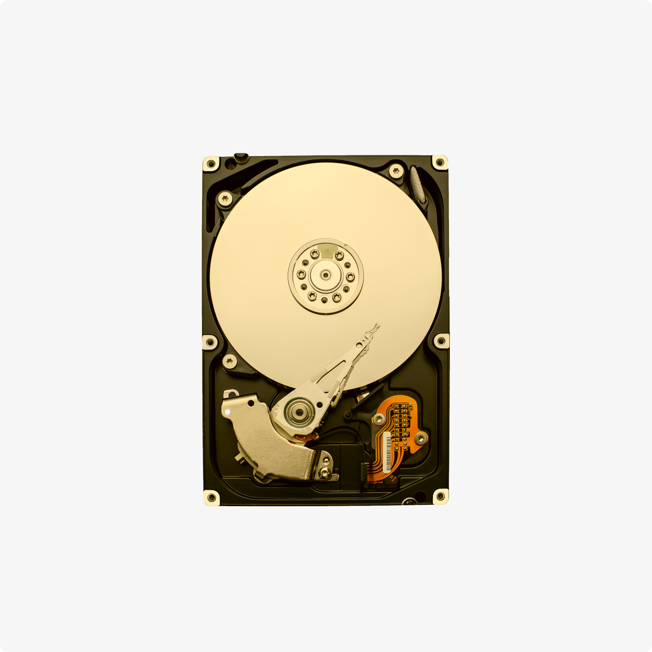 File Hub
